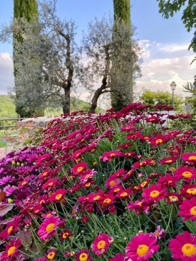 Agriturismo Belagaggio Montefollonico المظهر الخارجي الصورة