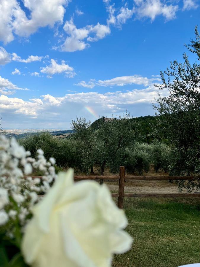 Agriturismo Belagaggio Montefollonico المظهر الخارجي الصورة