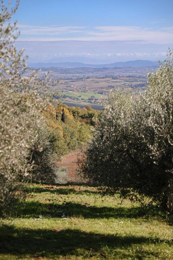 Agriturismo Belagaggio Montefollonico المظهر الخارجي الصورة
