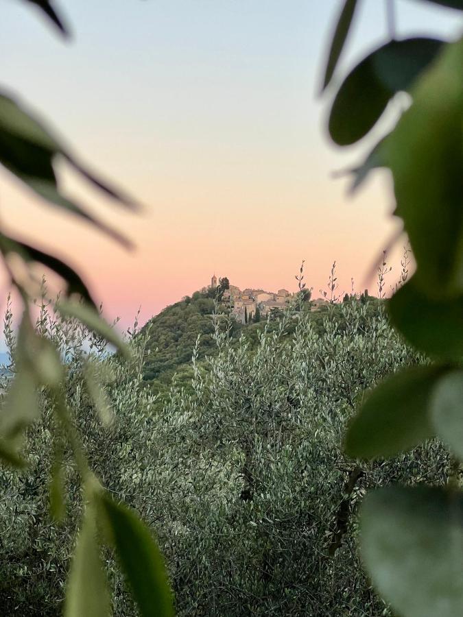 Agriturismo Belagaggio Montefollonico المظهر الخارجي الصورة